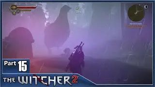 The Witcher 2, Part 15 / Faith Symbolized, The Rotfiend Contract, The Path to Vision, Adam Prangratt