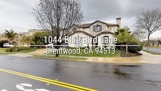 1044 Blue Bird Lane, Brentwood, CA 94513