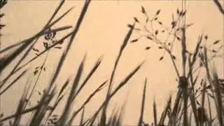 Alyssa Cox - Let the Summer Carry You