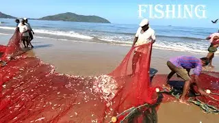 Unbelievable Net Fishing Video | Karwar | 🇮🇳