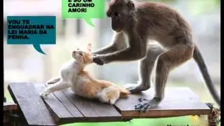 Humor Leve