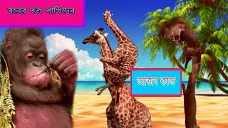 বনের পশু পাখিদের আজব কান্ড? Strange behavior of forest animals and birds