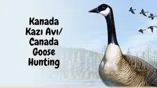 The Hunter Call Of The Wild Kanada Kazı Avı/Canada Goose Hunting - Bol Karavanalı -
