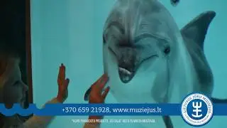Delfinų terapijos centras