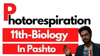 Photorespiration | 11th biology in pashto | Home of biology
