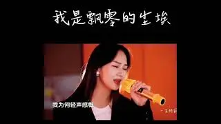 我是飘零的尘埃