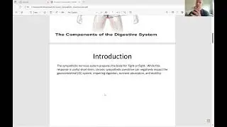 THE GUT AND SYMPATHETIC OVERDRIVE