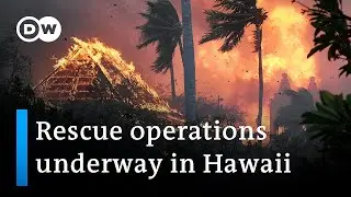 Hawaiian island Maui ravaged by wildfires | DW News