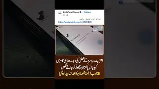 urdu point news# news#yt #it #trending #newsupdate #newslive #urdu #urdupoint