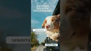 Доставка посилок попутником
