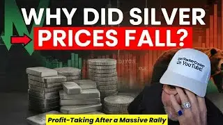 Silver Prices CRASHED- Here's What Happened
