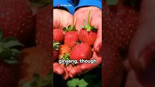 Top 10 Profitable Crops for Small Farms #financial #invest #motivation #wealth #business #crops#farm