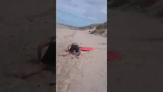 Dad Loses Balance and Falls to Ground During Sandboarding Session With Kids - 1169371