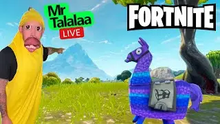 Fortnite Shenanigans