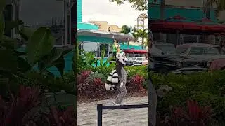 King Julien boogyin' outside of Mel's Drive In
