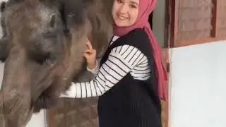 Girls on social media and comedy videos 😂/TFT HACKER