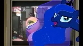 Luna's Booty Booty Booty Booty Rockin' Er'rywhere!