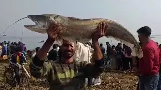 Deepor Beel Traditional community fishing 2021near Guwahati,Assam