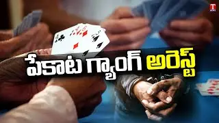Task Force Police Arrested Playing Cards Gang In Gachibowli | Hyderabad | T News