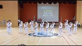 우리아이태권도 김지훈 단원 K TIGERS 인천하늘고 시범