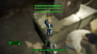 Fallout 4 Museum of Freedom [Magazines] RobCo Fun & Perception bobblehead,