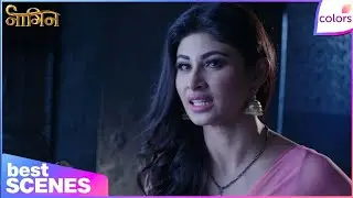Naagin S1 | Will Shesha & Shivanya Join Hands To Save Ritik? | Colors TV