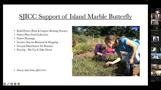 February 1, 2023 - The Endangered Island Marble Butterfly - Sarah Hanson and Walt Andrews