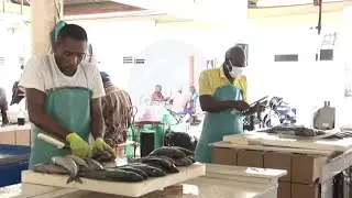 Illegal fishing concern