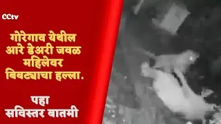 Mumbai Aarey Colony Leopard attack video :  बिबट्याच्या हल्ल्यानंतर काय झालं?