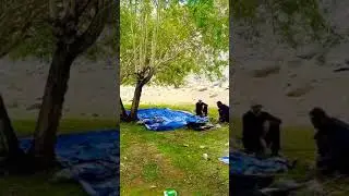 Camping side Phander Valley Gilgit