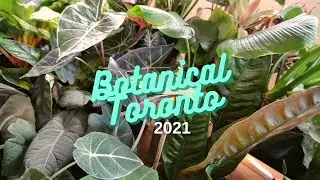 Botanical Toronto 2021 🌱 Rare Plants, OG PlantTuber, & a whole lot more Planty Goodness!
