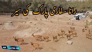 Aerial View of Rana Resort Safari Park | Pakistan Punjab | DJI Mini 3 Pro