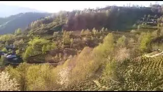 Dünyanın en güzel köyü Rize/ Çayeli-Başköy