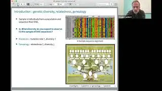 Evolutionary Processes and Patterns of Biodiversity: Genealogy of One or Many Genes. Amaury Lambert