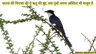 nature -water | The Power of Water | Nature&rsquo;s Most Powerful Force | Discovering the Wonders of Water
