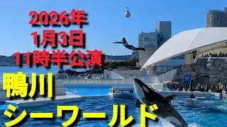 鴨川シーワールド🩷2026年1月3日11時半公演前半🚃往復1342円✖2=2684円🚃土気駅➡️安房鴨川駅🚃安房鴨川駅➡️土気駅