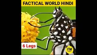 88 Top 10 Most Amazing Random Facts 🤯🧠   amazing facts intresting facts #shorts #facts