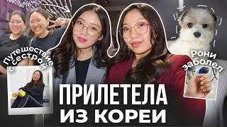 Прилетела сестра из Кореи! Рони заболел! Ночуем в отеле в аэропорту!|Niky Sarang