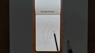 Easy Steps to Draw a Feather#FeatherDrawing#easydrawing#ArtTutorial#DrawingForBeginner#SketchingTips