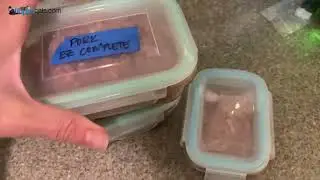 Level Up Your Kitty's Mealtime with Glass! (Finedine Review)