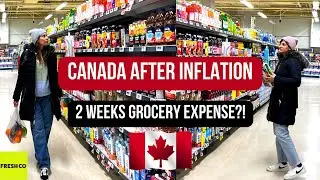 Affordable Grocery Haul | Ultimate Guide to Grocery Shopping on a Budget in Canada in 2024
