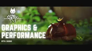 Stray - Graphics Analysis | RTX 3090 4K 60FPS