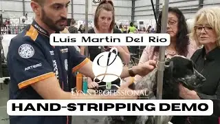 Lynn Professional's Channel - Hand Stripping with Luis Martin del Rio