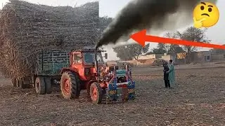 Belarus tractor on loading sugar cane 8 wheeler  trailer highest power Belarus tractor the pooling
