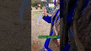 Nihang singh || sarbloh shri sahib #shorts