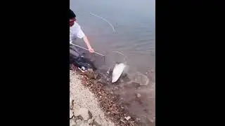 Drifter Fishing 2022 | Wow! amazing catching fish.