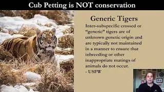 Say No To Cub Petting Presentation