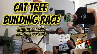 Cat Tree Building Race with The Cat Man and The TrapKing