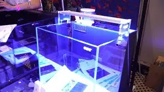 I want a CADE aquarium