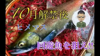 【ヒメマス】十和田湖！10月解禁後の回遊ヒメマスを狙う！〜前編〜